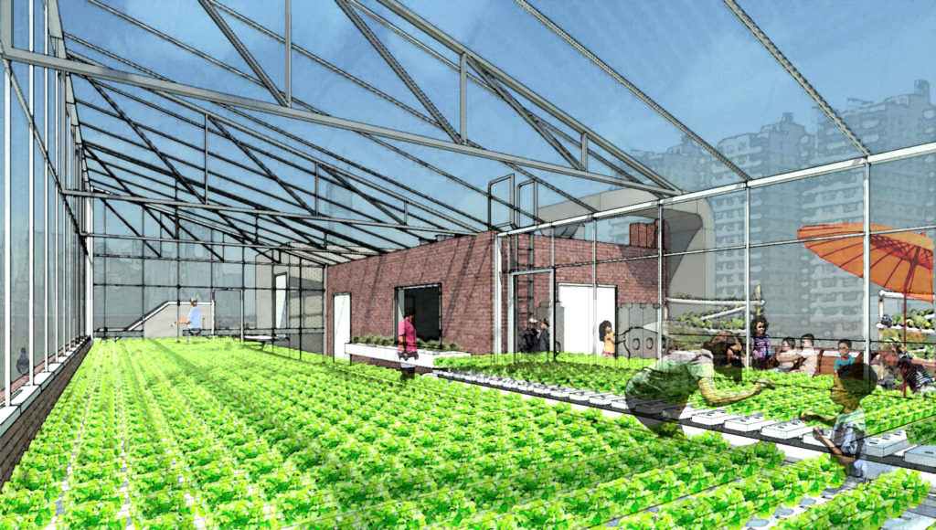 hss greenhouse 02 david grider architect